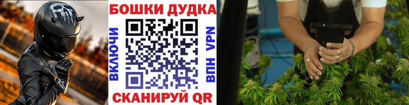 сколько стоит  Рославль  Бошки Шишки ГИДРОПОН 